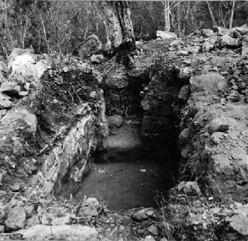 Vault  under east bench of Str. J-49-b