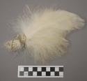 Bundle of white feathers