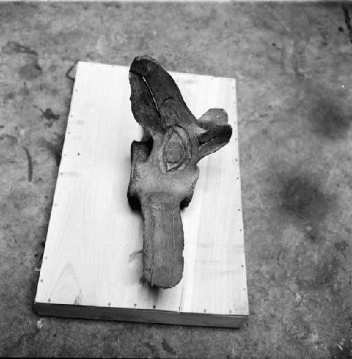 Medicine man's whalebone seat used when training