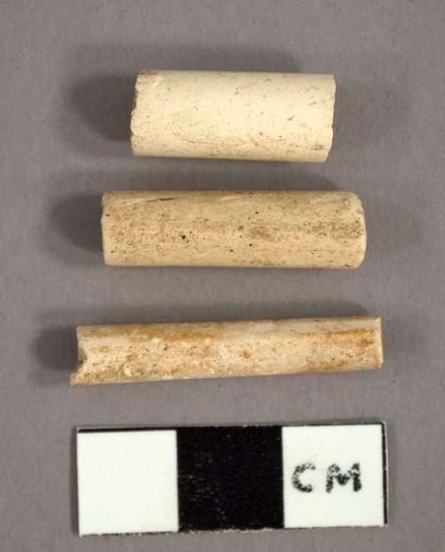 Pipe stem fragments