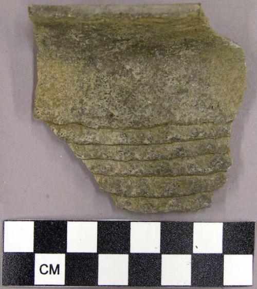 Corrugated jar sherd