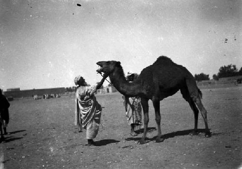 Suk El Arbaa, man with camel