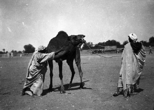 Suk El Arbaa, man with camel