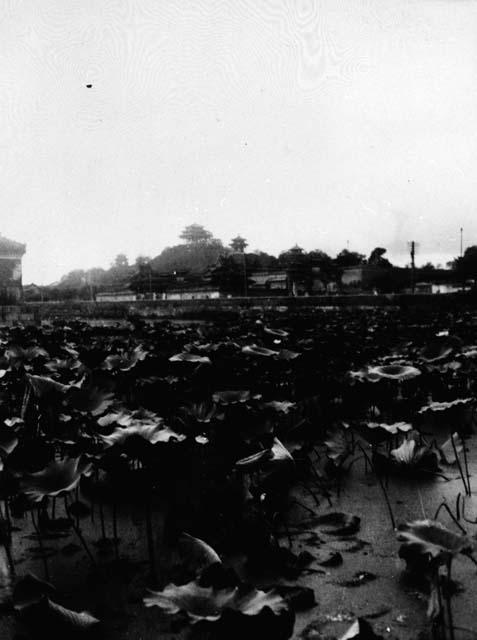 Coal hill from the moat of the Forbidden City