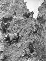 Yaks at the crest of the Sanju Pass