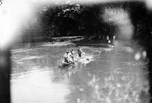 Crossing river with mules