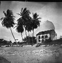 Building beside palm trees