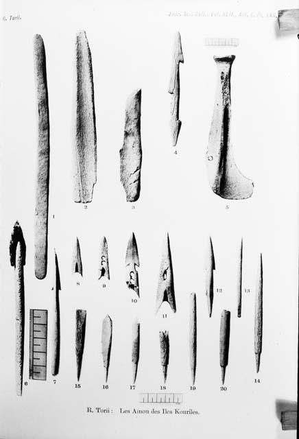 Bone implements, projectile points