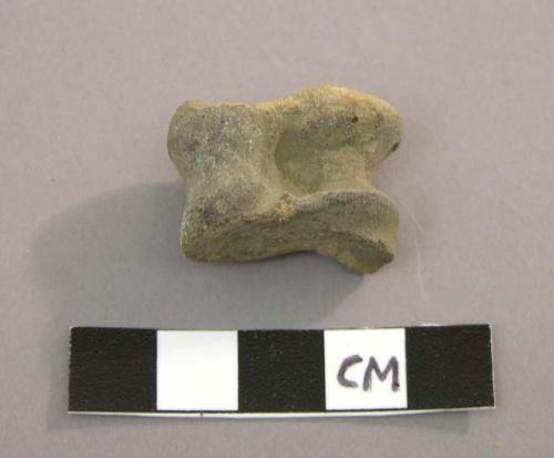 Faunal bone