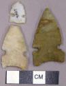 Stone projectile points