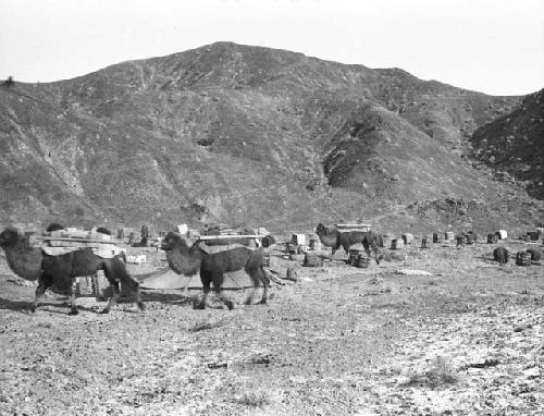 Lost camp, Metshin Ola camp in foothills