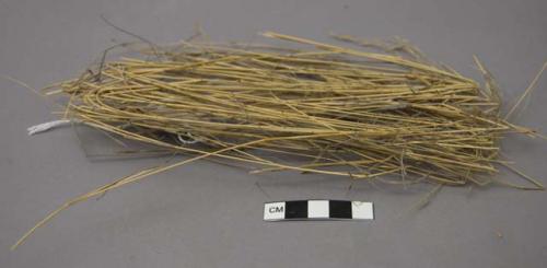 Sample of grass - used for thatch