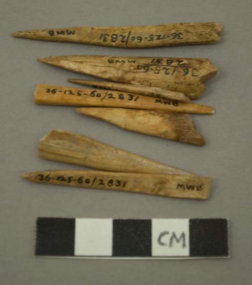 Fragments of bone points