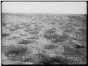 Huge cemetery southwest of the Ribero group