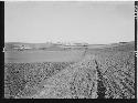 Southeast slope, far view - terraces