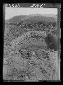 Sounding trench 2, looking southwest