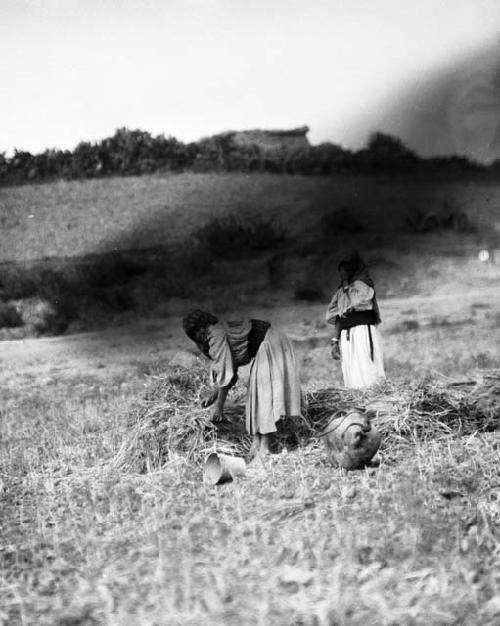 Women working in the field