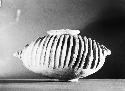 Red and white armadillo effigy jar with ring base from grave 13, number 159