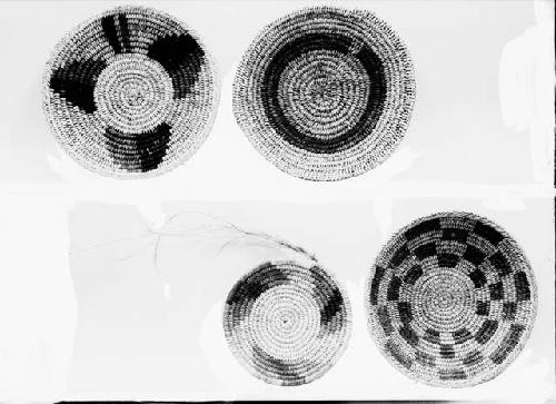 Basketry trays