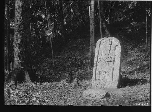 Stela in Front of Mound A, Group X