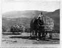 Woman getting grain out of Zulu granary