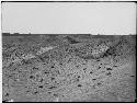 Ditches of canal which ought to be connected with reservoir, called el Mampuesto