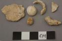 Assorted faunal bones, stones and a shell