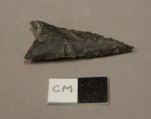 Chipped stone projectile point, concave base.