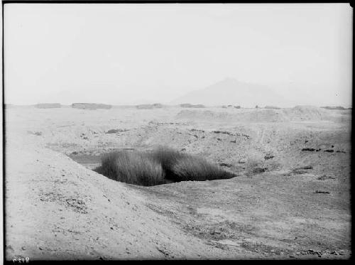 Wachake number 1 (field) northwest of Ribero group, southwest of Cabildo group