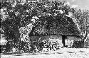 Native house in Choza Maya