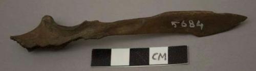 Tool made from an ulna; end flat