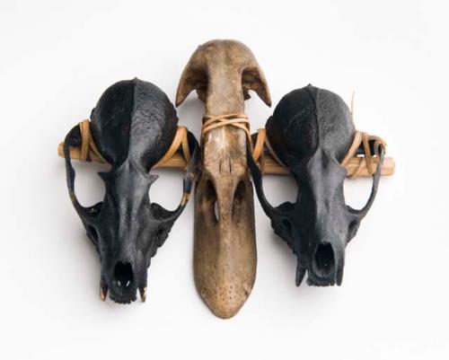 House ornament of skulls of monkey and fruit bat
