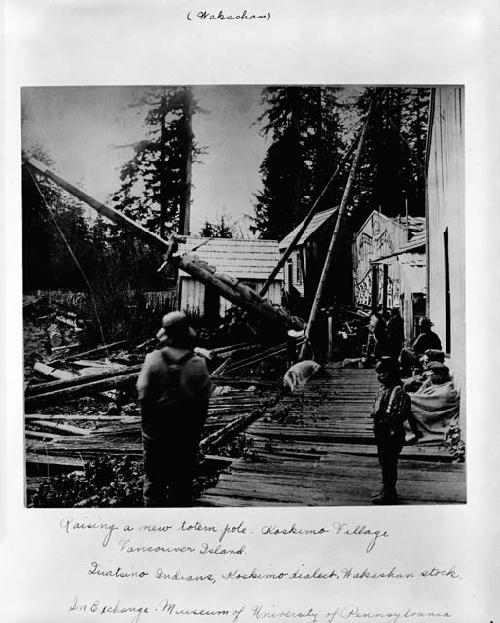 Raising a new totem pole, Olakshimo village, Quatsino Indians -- Wakashan