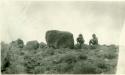 Pecked lava boulder, Fruita.