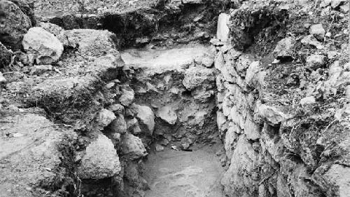 Trench along east wall of Q-99, looking south