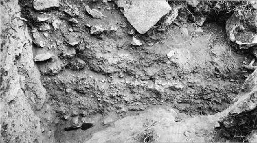 Side of trench next to north wall