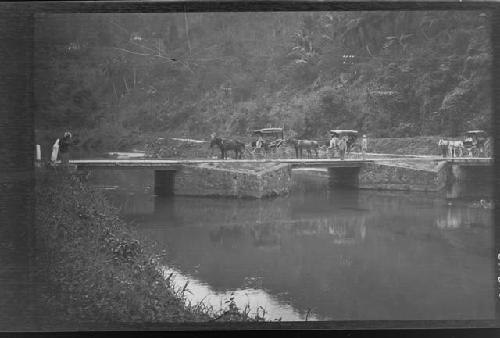 Animal and carriage on bridge over water