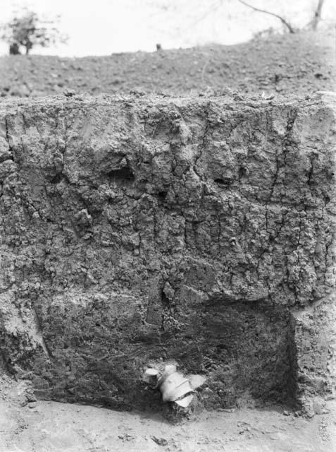 Grave 3A. Pottery head protruding from soil and carbon area