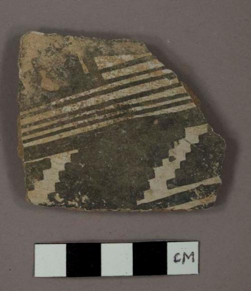 Sherd