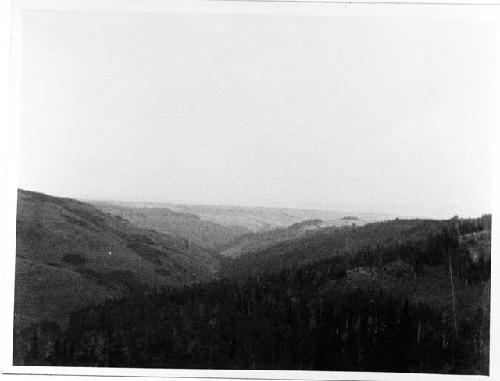 Looking off near The Willows Springs, Headwaters of Rock Creek from Cottonwood