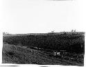 Photo of Drawing Horses Into Corral "The Willows" Springs