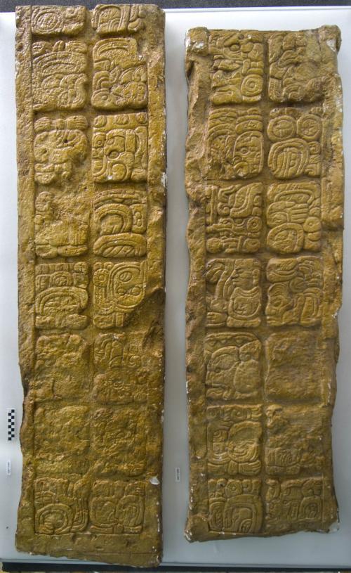 Cast of part of Stela P, south, lower