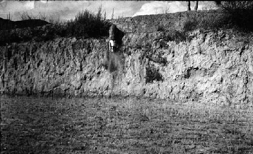 Dog jumping or falling down washed away hillside