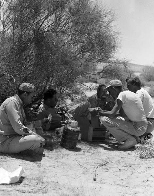 Picnic lunch in Wadi midway between Turaif and Qaf on edge of Wadi Sirhan