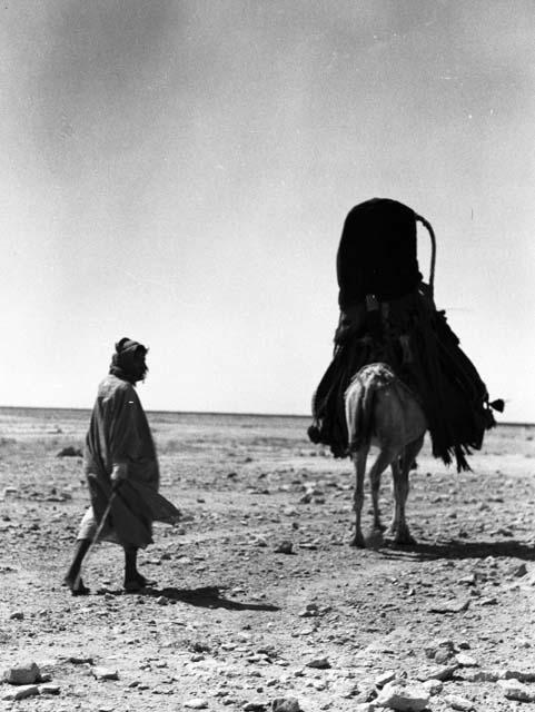 Bedouins near Turaif