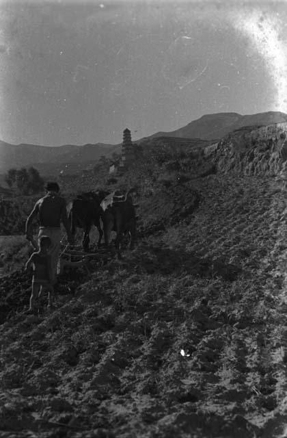 Yutaoho, Shansi, summer 1935, ploughing, pagoda in distance,