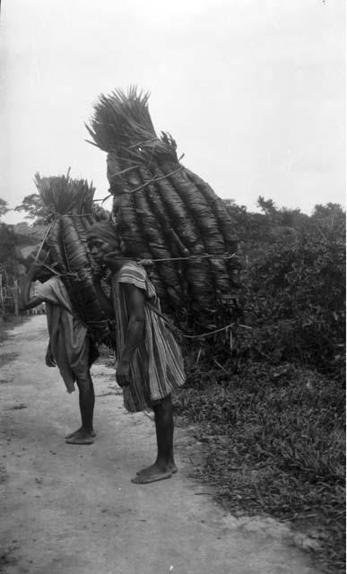 Carrying palm thatch, Buzi, Mende