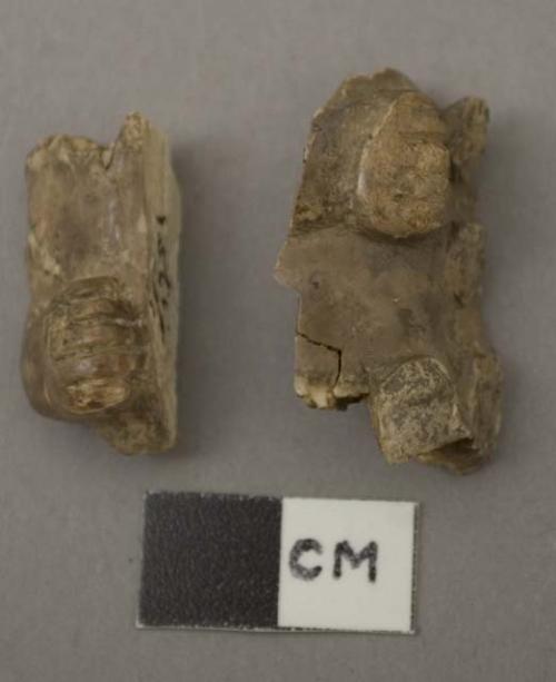 Carved bone fragments