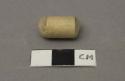 Floral sample?, cardboard tube containing cotton-like substance
