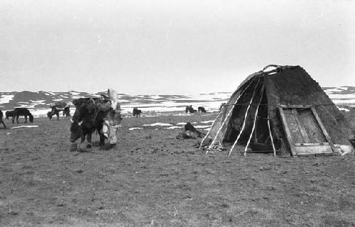 Kazak (Qazaq) partially covered yurt